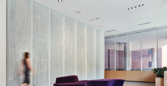 Skyline Design-30 W. Oak Street, Chicago IL