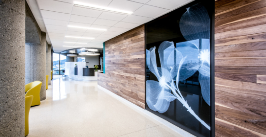 Skyline Design-UCSF
