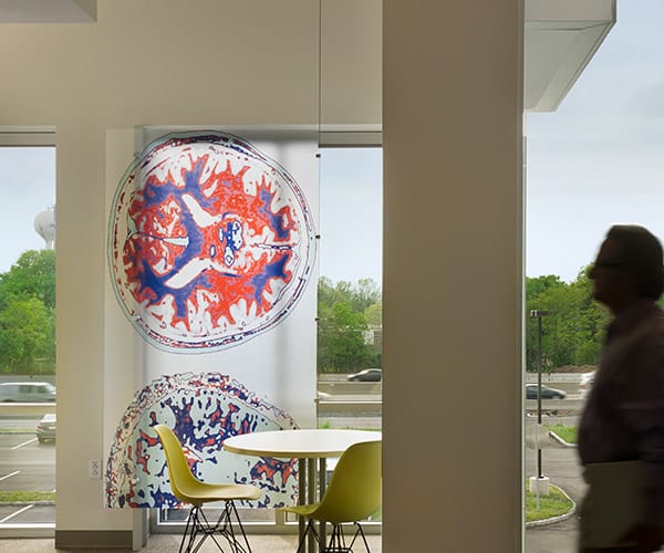 Botanical custom glass artwork designed by KSS Architects and printed on a glass partition of Bracco Diagnostics by Skyline Design, the industry-leading architectural glass manufacturer