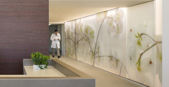 Skyline Design-