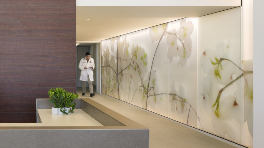 A piece of botanical greenery custom glass on a commercial glass wall designed by GKKWorks and photographed by Lawrence Anderson and printed on glass by Skyline Design architectural glass manufacturer and installed on Pomona Valley Hospital