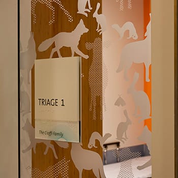 Animal abstract custom glass artwork, wall-cladding in Randall Children's Hospital at Legacy Emanuel, and printed on a glass door partition by Skyline Design architectural glass manufacturer.