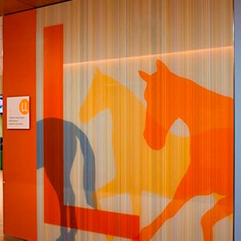 L horses abstract custom glass artwork, wall-cladding in Randall Children's Hospital at Legacy Emanuel, and printed on a glass door partition by Skyline Design architectural glass manufacturer.