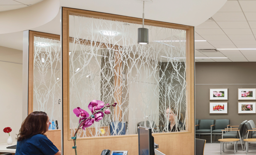A botanical pattern made up of organic branches, photographed by Williamson Images and eco-etched on glass by Skyline Design architectural glass manufacturer