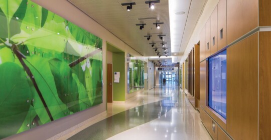 Skyline Design-Healthcare Organization