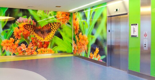 Skyline Design-Hershey Children's Hospital