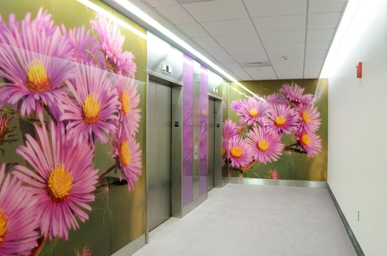 A botanical custom glass artwork, designed by Henry Domke and wall-cladding in the Hershey Children's Hospital and printed on glass by Skyline Design.