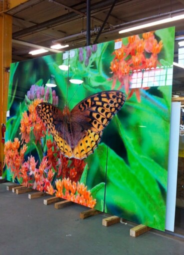 A botanical custom glass artwork, designed by Henry Domke and wall-cladding in the Hershey Children's Hospital and printed on glass by Skyline Design.