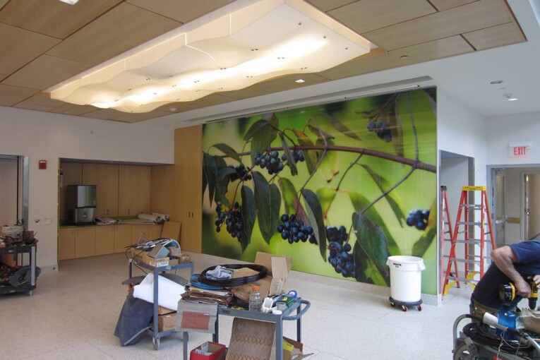 A botanical custom glass artwork, under construction by Henry Domke and wall-cladding in the Hershey Children's Hospital and printed on glass by Skyline Design.