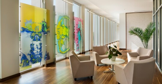 Skyline Design-Bracco Diagnostics