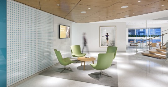 Skyline Design-